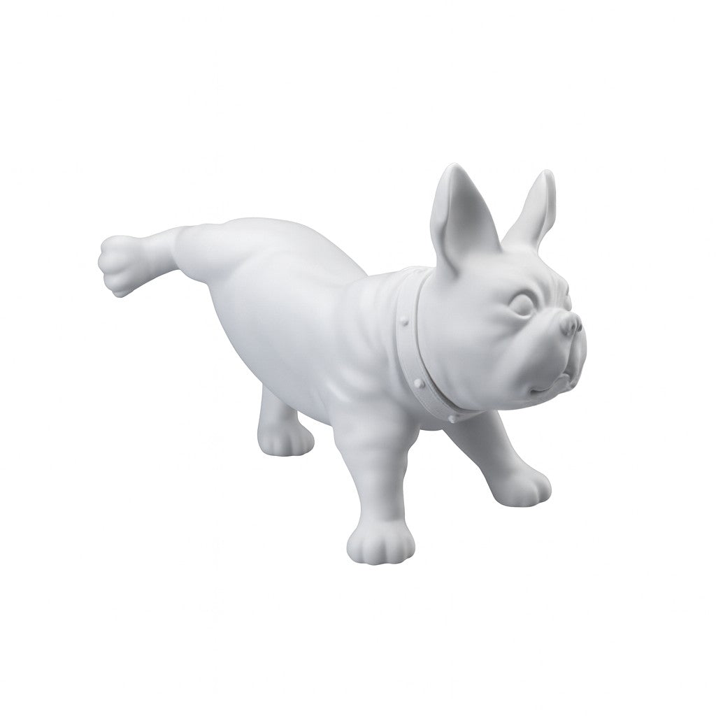 Französische Bulldogge, Luis – Weiß. Hundepuppe