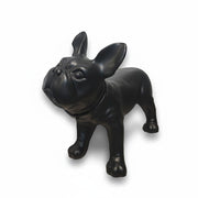 Französische Bulldogge, Liva. Hundepuppe in Schwarz.
