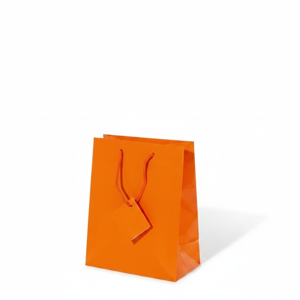 SuperSellerS brilliant orange glossy paper gift bag with matching cord handles and a small blank gift tag