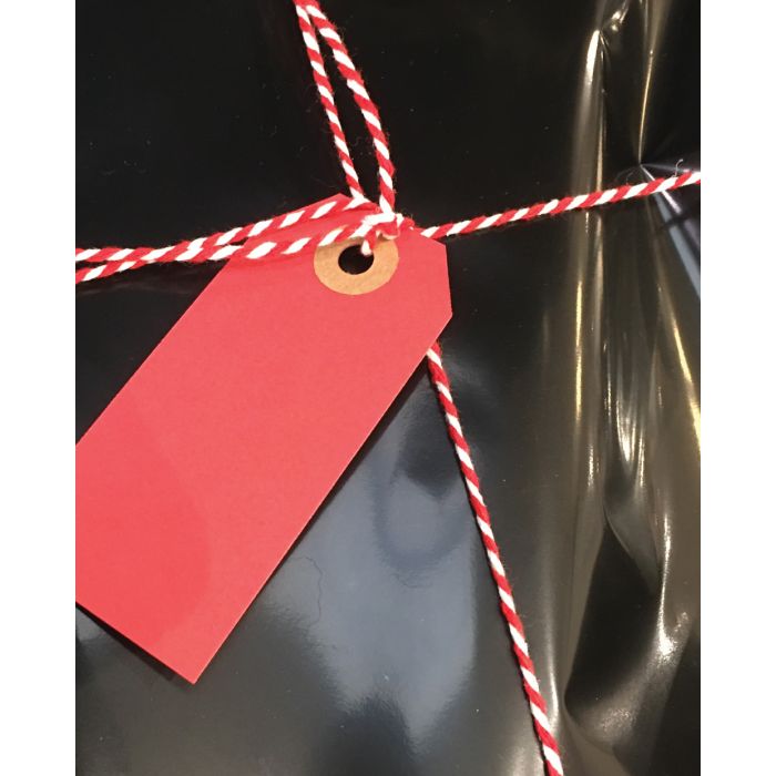 Geschenktüte mit Klebeverschluss (20 x H 31 cm.)